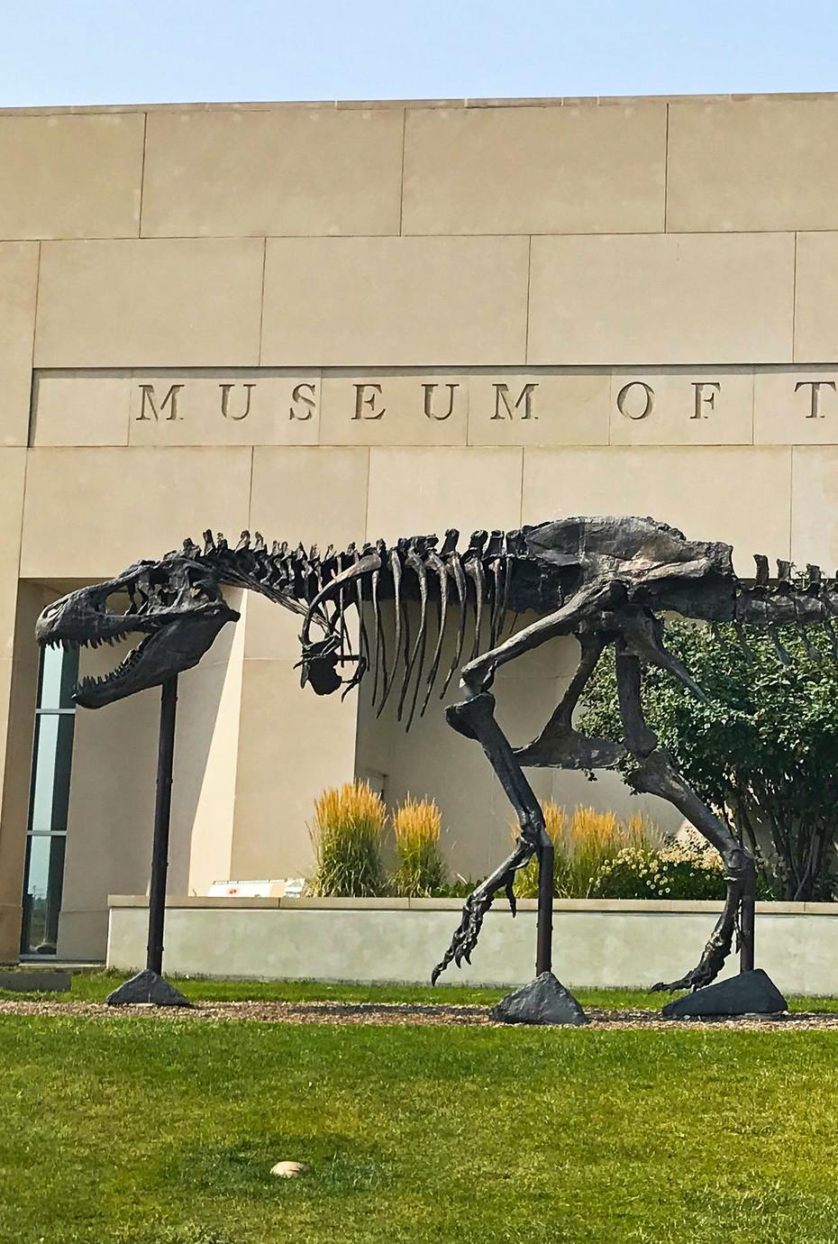 Museums