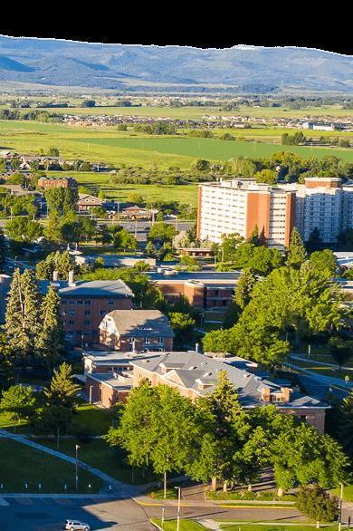Montana State University